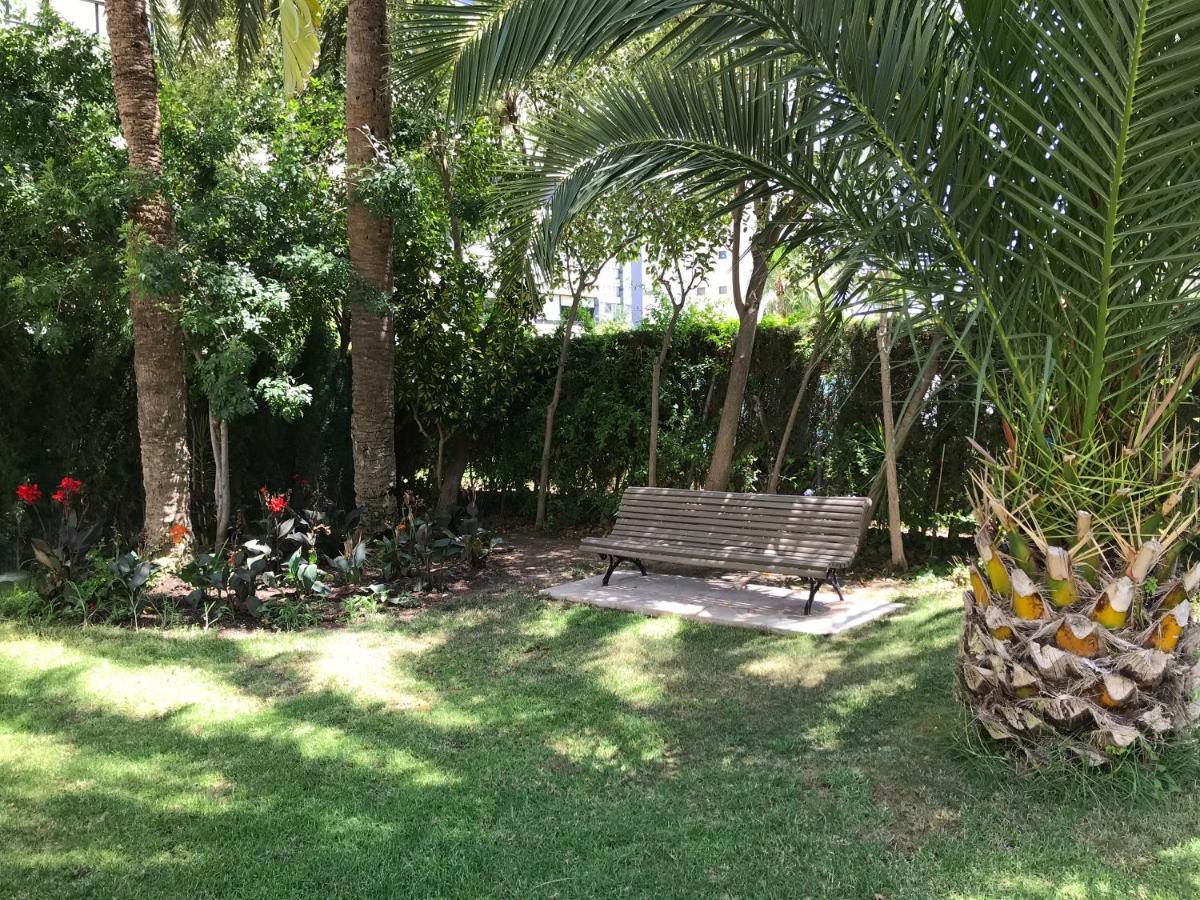 Apartamento Coffee Beach En Parque Europa Бенидорм Екстериор снимка